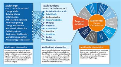 Nutritional Interventions in Cancer Cachexia: Evidence and Perspectives From Experimental Models